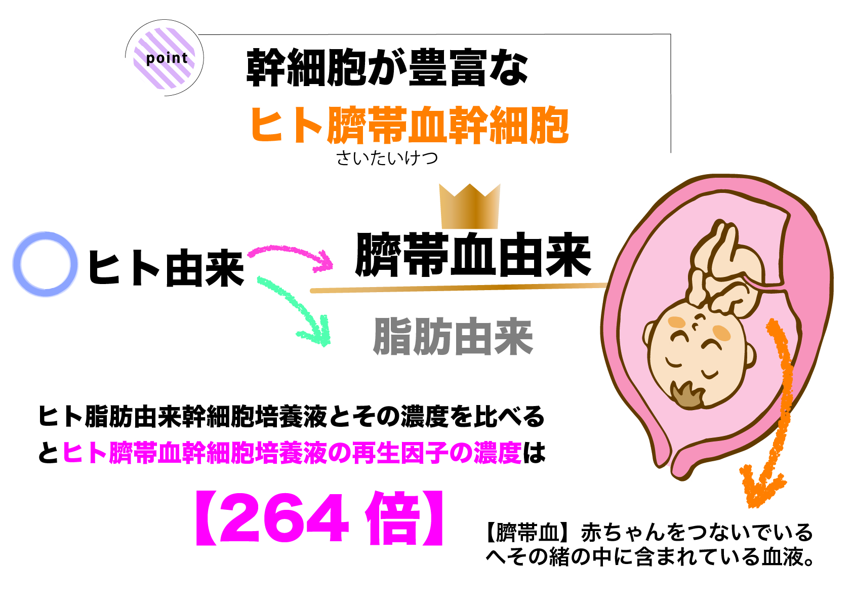 ヒト由来幹細胞培養液高配合クリーム】クリーム デ ボーテ